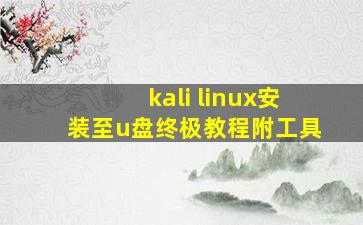 kali linux安装至u盘终极教程附工具